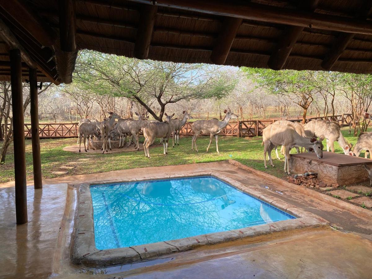מרלות' פארק Genet House Holiday Home מראה חיצוני תמונה